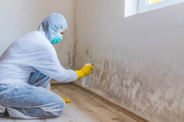 Licensed Commercial Mold Remediation service in Allenwood, PA - WQB Mold Removal