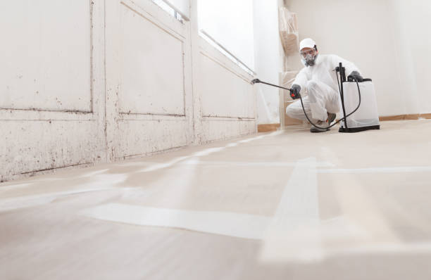 24/7 Emergency Commercial Mold Remediation experts in Allenwood, PA