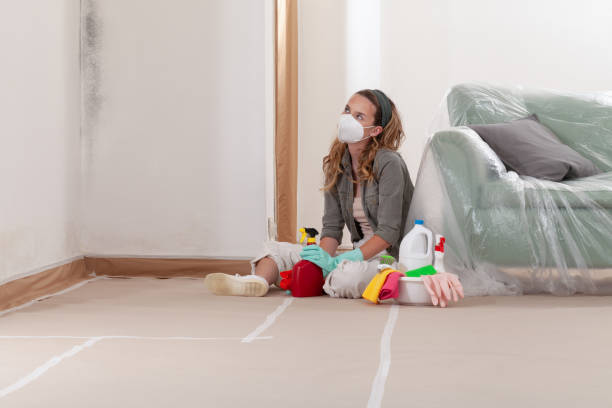Reliable Commercial Mold Remediation contractor in Allenwood, PA by WQB Mold Removal