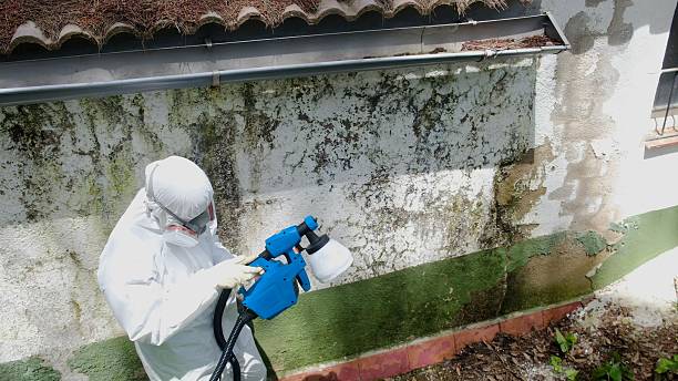 Top rated local Commercial Mold Remediation specialists in Allenwood, PA
